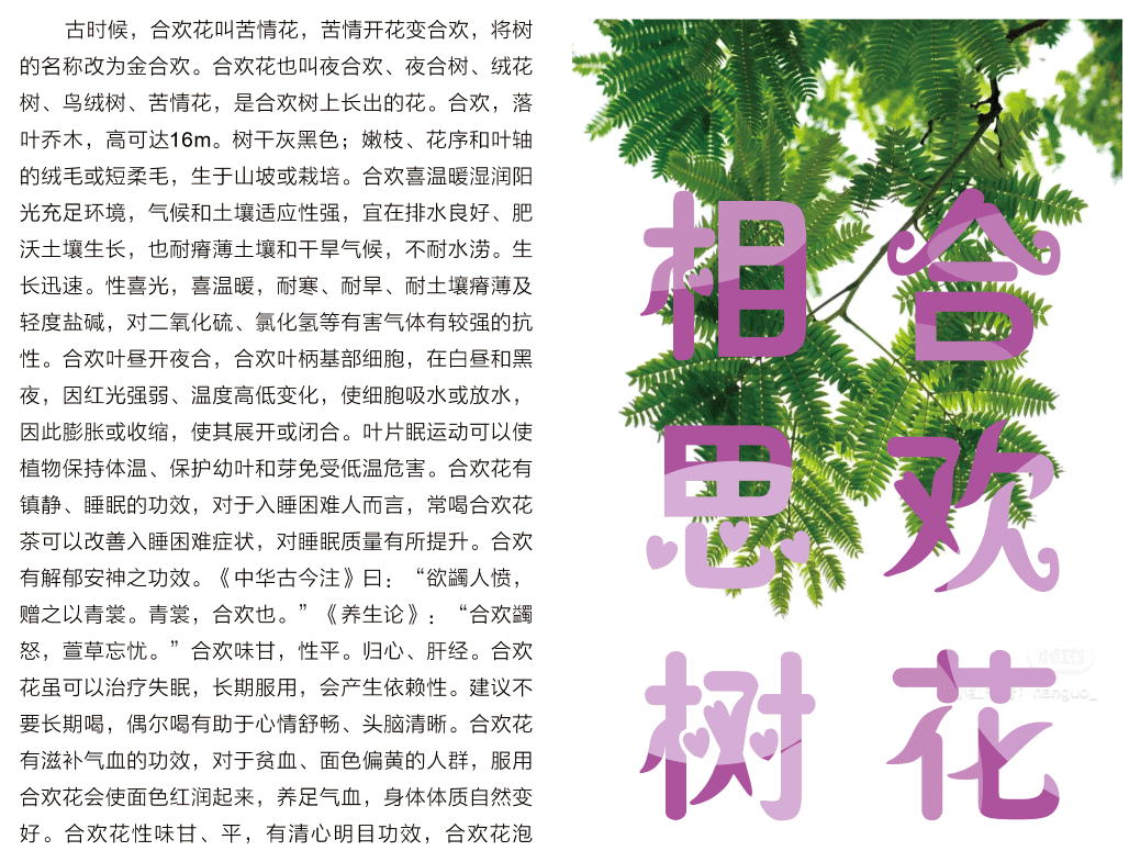合欢树1.png