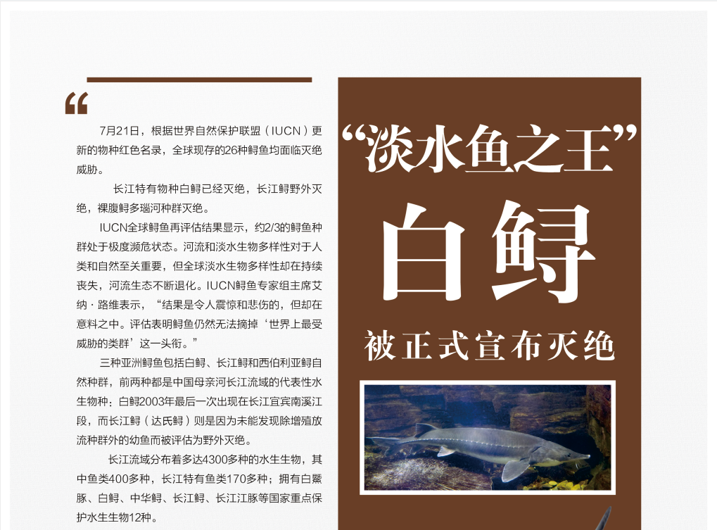 “淡水鱼之王”-白鲟被正式宣布灭绝1.png
